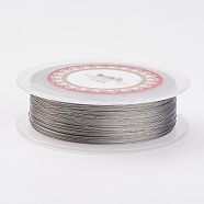 Steel Wire, Silver, 28 Gauge, 0.3mm, about 328.08 Feet(100m)/roll(TWIR-E001-0.3mm)
