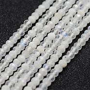 Natural Rainbow Moonstone Quartz Bead Strands, Round, Faceted, 3mm, Hole: 0.5mm, about 160pcs/strand, 15.5 inch(39.5cm)(G-G663-41-3mm)