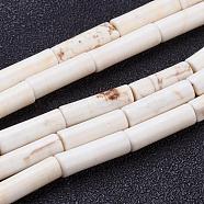 Natural Magnesite Beads Strands, Dyed, Column, White, 12~14x4mm, Hole: 1mm, about 30pcs/strands, 15.7 inch(40cm)(TURQ-K003-11H)