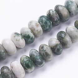 Natural Green Spot Jasper Beads Strands, Rondelle, 8~8.5x4~5mm, Hole: 1mm, about 78~79pcs/strand, 15.3 inches(39cm)(G-F520-09)