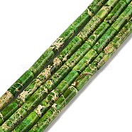 Dyed Natural Imperial Jasper Beads Strands, Column, Lime Green, 13~14x4.5mm, Hole: 1.4mm, about 30pcs/strand, 15.79~15.94''(40.1~40.5cm)(G-H087-H01-01B)