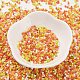 Baking Paint Glass Seed Beads(X-SEED-S042-05B-44)-2