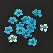 Narcissus Embossing Dried Flowers, for Cellphone, Photo Frame, Scrapbooking DIY Handmade Craft, Dark Turquoise, 7mm, 20pcs/box(DIY-K032-60L)