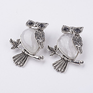 Natural Quartz Crystal Pendants, with Alloy Finding, Owl, Antique Silver, 46.5x35.5x11.5mm, Hole: 6x8.5mm(G-E442-01O)