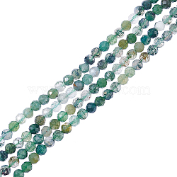 2 Strands Natural Moss Agate Beads Strands, Faceted, Round, 3mm, Hole: 1mm, about 123~130pcs/strand, 15.70''(39.88cm)(G-NB0004-12)