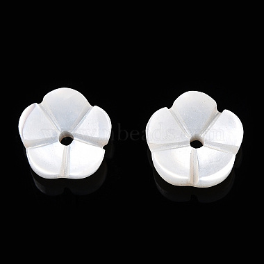 Natural White Shell Beads(SSHEL-S260-053)-3