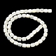 brins de perles de coquillages naturels de troca(BSHE-E030-05A)-3