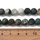 Natural Tree Agate Beads Strands(G-T106-038)-7