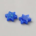 Resin Imitation Opal Charm, Star of David Charm, Blue, 11x13x3mm, Hole: 1.5mm(RESI-WH0022-54A)