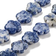 Natural Blue Spot Jasper Beads Strands, Flower, 20x20x6mm, Hole: 1.4mm, about 20pcs/strand, 14.57~14.96 inch(37~38cm)(G-F769-D01-02)