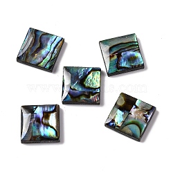 Natural Paua Shell Epoxy Resin Cabochons, Square, 11.5x11.5x2.5mm(SSHEL-S279-01H)