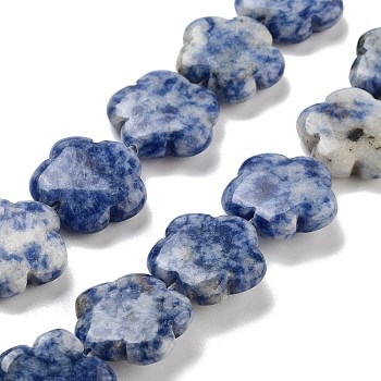 Natural Blue Spot Jasper Beads Strands, Flower, 20x20x6mm, Hole: 1.4mm, about 20pcs/strand, 14.57~14.96 inch(37~38cm)