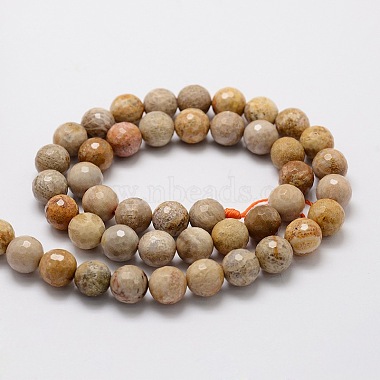 Faceted Round Natural Fossil Coral Bead Strands(G-L437-03-8mm)-2