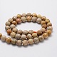 Faceted Round Natural Fossil Coral Bead Strands(G-L437-03-8mm)-2