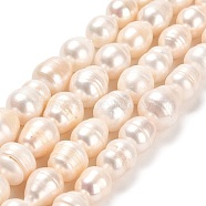 Natural Cultured Freshwater Pearl Beads Strands, Rice, Grade A, PapayaWhip, 13.5~14.5x11~12mm, Hole: 0.6mm, about 25~27pcs/strand, 13.78~14.17''(35~36cm)(PEAR-E016-109)