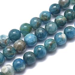 Natural Apatite Beads Strands, Round, 10mm, Hole: 1mm, about 39pcs/strand, 15.5 inch(39.5cm)(G-F617-01-10mm)