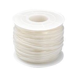Luminous PVC Synthetic Rubber Cord, No Hole, with Spool, Flat, Clear, 2.3x0.8mm, about 27.34 Yards(25m)/Roll(RCOR-YW0001-04)