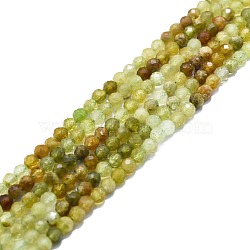 Natural Green Garnet Beads Strands, Faceted, Round, 3mm, Hole: 0.8mm, about 85pcs/strand, 15.16''~15.55''(38.5~39.5cm)(G-P457-A03-25)