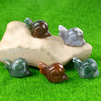 Natural Indian Agate Carved Healing Snail Figurines, Reiki Energy Stone Display Decorations, 18x24~28x12mm