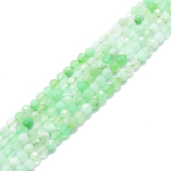 Natural Chrysoprase Beads Strands, Faceted, Round, 3mm, Hole: 0.7mm, about 132pcs/strand, 15.16''~15.55''(38.5~39.5cm)