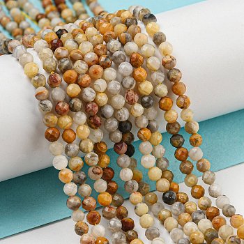 Natural Crazy Lace Agate Beads Strands, Faceted, Round, 3mm, Hole: 1mm about 115pcs/strand, 38cm