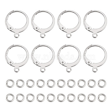 Stainless Steel Color 304 Stainless Steel Leverback Earring Findings