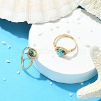 Copper Wired Natural Abalone Shell/Paua Shell Finger Rings for Women, Flat Round, Golden, 10mm, Inner Diameter: 19mm(RJEW-JR01055)
