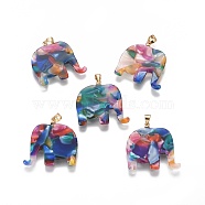 Resin Pendants, with Brass Finding, Elephant, Golden, Colorful, 27x27x2.5mm, Hole: 4x5mm(X-KK-G361-01G)