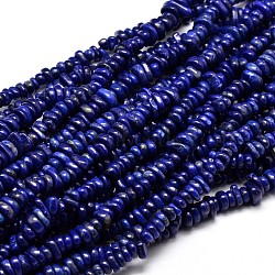 Natural Lapis Lazuli Chip Beads Strands, 4~14x4~12mm, Hole: 1mm, about 15.3 inch~16.1 inch(G-E271-121)