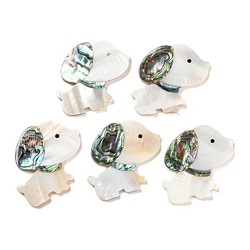 Natural Freshwater Shell & Paua Shell & Natural White Shell Pendants, Dog Charms, Seashell Color, 44x49x4.5mm, Hole: 1.6mm