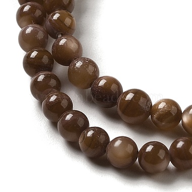 Natural Freshwater Shell Beads Strands(SHEL-H003-03D)-3
