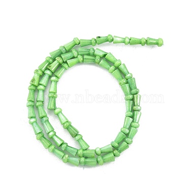 Natural Freshwater Shell Beads Strands(SHEL-G013-02E)-2