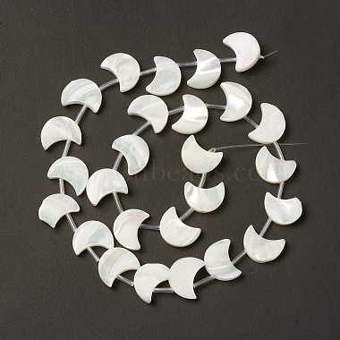 Natural Trochid Shell/Trochus Shell Beads Strands(SHEL-F004-01B)-3