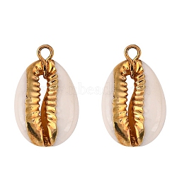 Cowrie Shell Pendants, with Metal Findings, Natural Color, Golden, 17~25x10~15x5~7mm, Hole: 1.5mm(SSHEL-S258-01A)