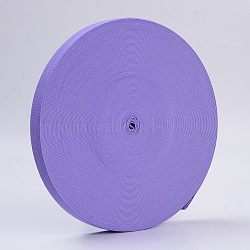 Colored Flat Elastic Rubber Band, Webbing Garment Sewing Accessories, Medium Slate Blue, 25mm, about 43.74 yards(40m)/roll(EC-WH0002-34)