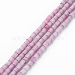 Glass Silk Stain Style Beads Strands, Tube, Flamingo, 1.5~5x2mm, Hole: 0.8mm, about 185~187pcs/strand, 15.55 inch~15.75 inch(39.5~40cm)(GLAA-N047-001A-04)