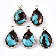 Teardrop Assembled Natural Bronzite and Synthetic Turquoise Pendants, with Iron Loop and Brass Edge,  Light Gold, Dyed, 22~23x14x5~6mm, Hole: 2mm(G-N330-022-A01)