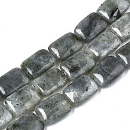 Natural Labradorite Beads Strands, Rectangle, 17.5~18.5x13~13.5x6~7mm, Hole: 1mm, about 22pcs/strand, 15.5 inch(G-T121-13)
