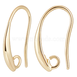 40Pcs Brass Earring Hooks, with Horizontal Loops, Real 18K Gold Plated, 19x10x2mm, Hole: 2mm, 18 Gauge, Pin: 1mm(KK-BBC0004-57)