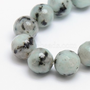 8mm Aqua Round Sesame Jasper Beads