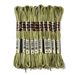 10 Skeins 6-Ply Polyester Embroidery Floss, Cross Stitch Threads, Segment Dyed, Olive Drab, 0.5mm, about 8.75 Yards(8m)/skein(OCOR-K006-A33)