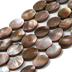Natural Sea Shell Beads Strands, Flat Oval, 14x10x2~2.5mm, Hole: 0.7mm, about 29pcs/strand, 15.59''(39.6cm)(SHEL-K006-33)