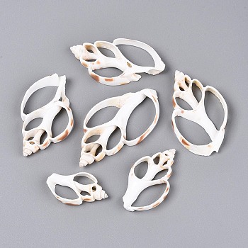 Natural Shell Big Pendants, Shell Slice Charms, Seashell Color, 34~63x20~34x5~6mm, Hole: 8~15x16~30mm