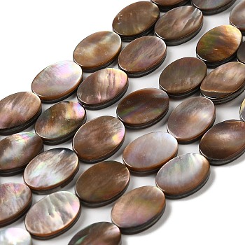 Natural Sea Shell Beads Strands, Flat Oval, 14x10x2~2.5mm, Hole: 0.7mm, about 29pcs/strand, 15.59''(39.6cm)