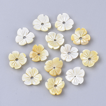 Yellow Shell Beads, 3d Flower, Pale Goldenrod, 10.5x11x3mm, Hole: 1.6mm