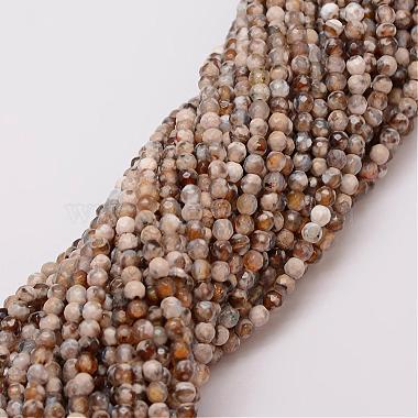 4mm Coffee Round Fire Agate Beads