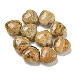 Natural Crazy Lace Agate Beads, Half Drilled, Heart, 15.5x15.5x8mm, Hole: 1mm(G-P531-A19-01)