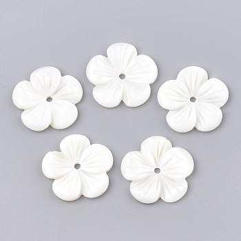 Freshwater Shell Beads, Flower, White, 23~24x23~24x3mm, Hole: 2mm