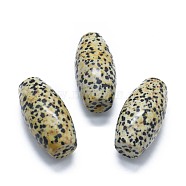 Natural Dalmatian Jasper Two Half Drilled Holes Beads, Oval, 49.5~50x25mm, Hole: 2mm(G-G795-11-13)