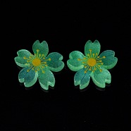 Luminous Resin Cabochons, 5-Petal Flower/Sakura, Pale Turquoise, 26x5mm(X-RESI-G030-01D)